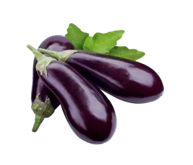 eggplant