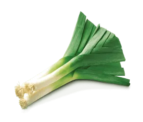 leek
